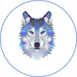 أيقونة البرنامج: Wolf Network