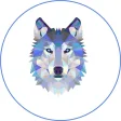 Wolf Network