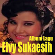 Programikonen: Lagu Elvie Sukaesih