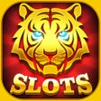Icon of program: Golden Tiger Slots - Slot…
