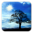 程序图标：Blue Sky Free Live Wallpa…