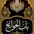 Programikonen: Babulhawaij - Shia Dua Zi…
