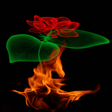 プログラムのアイコン：Fiery Rose Magic LWP