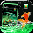 Programikonen: Glass Fisherman Launcher …