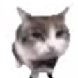 Icône du programme : Cat Tennis