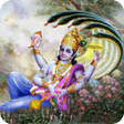プログラムのアイコン：Om Namo Narayanaya