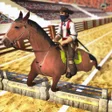 Programikonen: Horse Racing  Horse Jump …