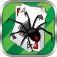ไอคอนของโปรแกรม: Spider Solitaire