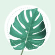 Иконка программы: PlantMe - Plant identific…