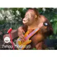 Funny Monkeys HD Wallpapers New Tab Theme