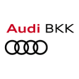 程序图标：Audi BKK Service-App