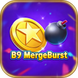 Ícone do programa: B9MergeBurst