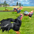 Ikon program: Hen Simulator Chicken Gam…