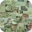 Sage Green Aesthetic Wallpaper