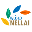 Programikonen: Namma Nellai