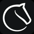ไอคอนของโปรแกรม: Lichess