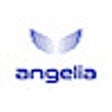 ไอคอนของโปรแกรม: Coffre-fort Angelia.one