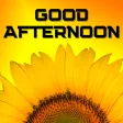 Good Afternoon Images 2023