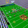 프로그램 아이콘: Tecmo Super Bowl