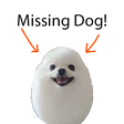 Biểu tượng của chương trình: Find Your Dog And Save Hi…
