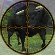 プログラムのアイコン：Angry Bull Hunting: FPS G…