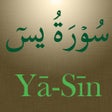 Programikonen: Surah Ya-Sin سورة يس