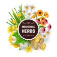 Programikonen: Ayush Herbal Remedies