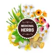Ayush Herbal Remedies