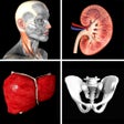 Icon of program: Anatomy Quiz Pro