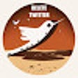Icoon van programma: Button Delete Twitter