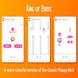 프로그램 아이콘: King of Birds