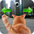 Ícone do programa: Cat In City Go Simulator