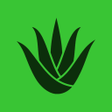 Programikonen: Aloe Calculator CC