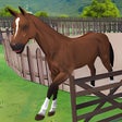 Programikonen: Virtual Pet Shelter-Anima…