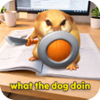 Icon of program: Dog Filter AR  Funny Came…