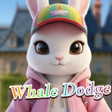 ไอคอนของโปรแกรม: Whale Dodge