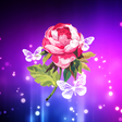 プログラムのアイコン：Abstract Flower Live Wall…