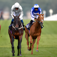 プログラムのアイコン：Real Horse Racing Champio…