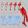 Programın simgesi: ITK-SNAP