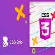 Programikonen: CSS Brio