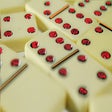 Icono de programa: domino app