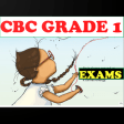 Cbc Grade 1 Exams All Subjects