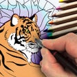 ไอคอนของโปรแกรม: How To Draw Step By Step …