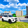 程序图标:Next gen car simulator