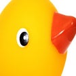 Иконка программы: DuckDuckQuack