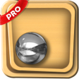 Icon of program: Labyrinth 2015