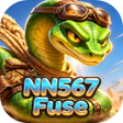 Programikonen: NN567Fuse