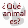 Programikonen: Animal riddles in spanish