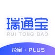 Programikonen: 瑞通宝