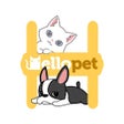Programikonen: Hellopet